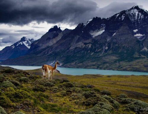 パタゴニアの旅行情報・パタゴニアへの行き方