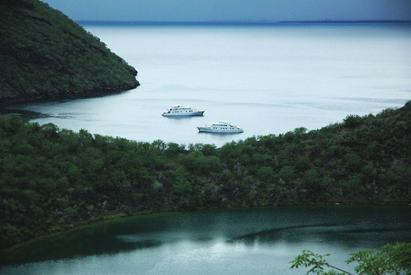コラル号　ガラパゴスクルーズ