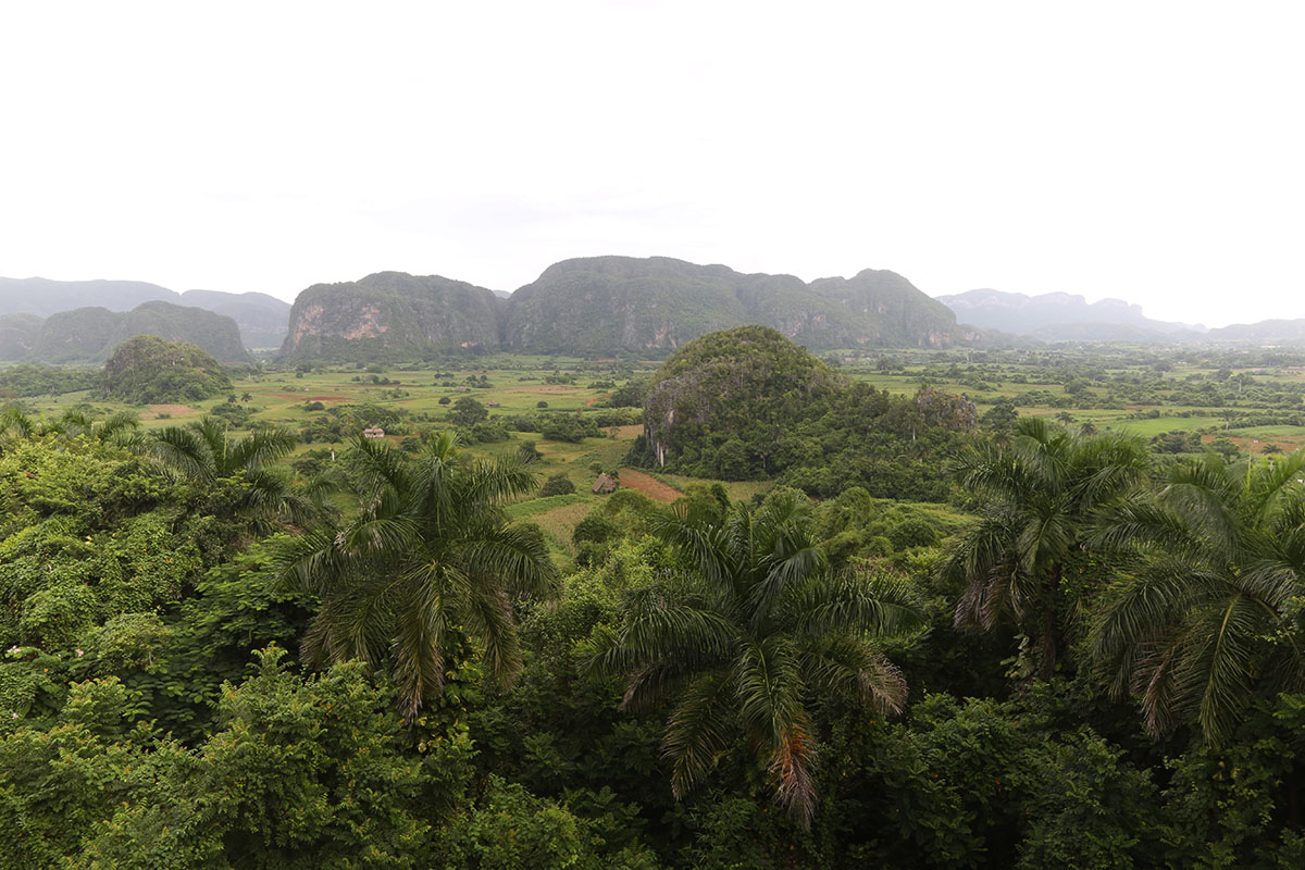 Vinales