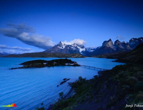 パタゴニア トレッキング周遊11日間の旅 2026年1月12日出発