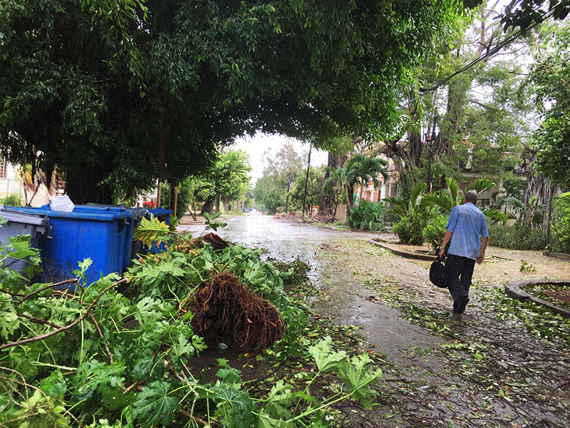 Calle 19-2
