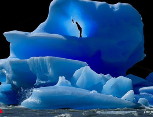 パタゴニア トレッキング周遊11日間の旅