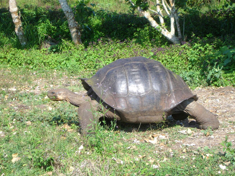 ecuador_sky005