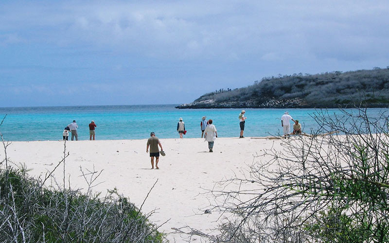 playaochoa