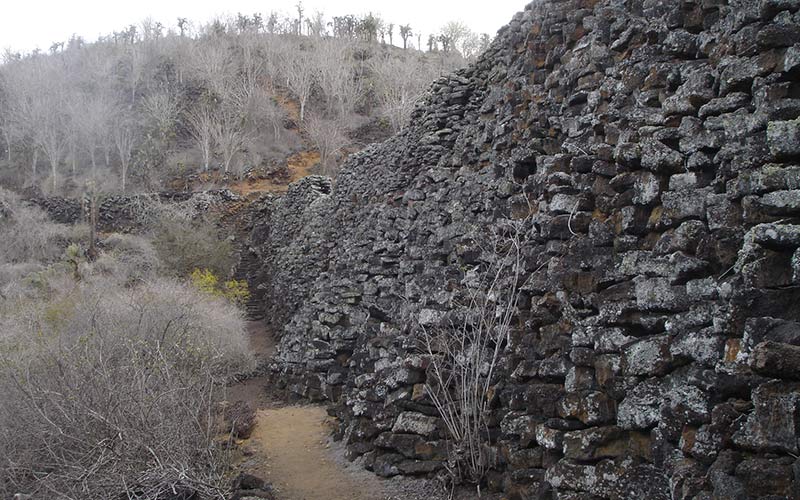 walloftears