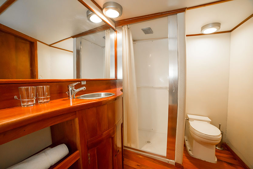 DSC_3735 レイナシルビア号