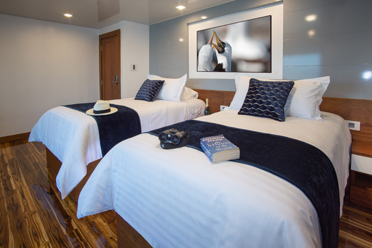 cabin-2 ガラパゴスクルーズ