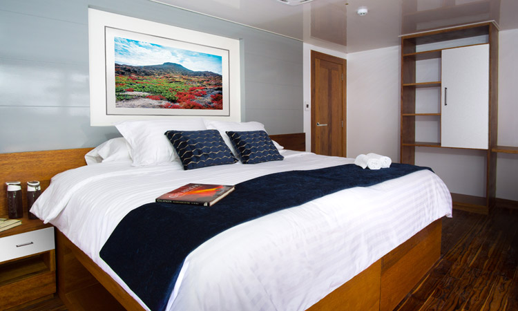 double-cabin-1-infinity インフィニティ号 ガラパゴスクルーズ