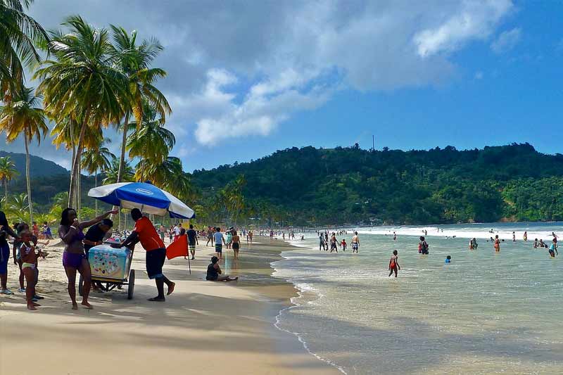 maracas
